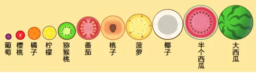 2048大西瓜版攻略　合成大西瓜2048攻略-第6张