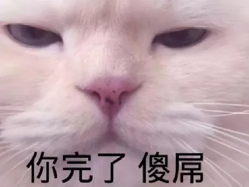 2021dnf现在的策划是谁　DNF国服策划是谁-第10张