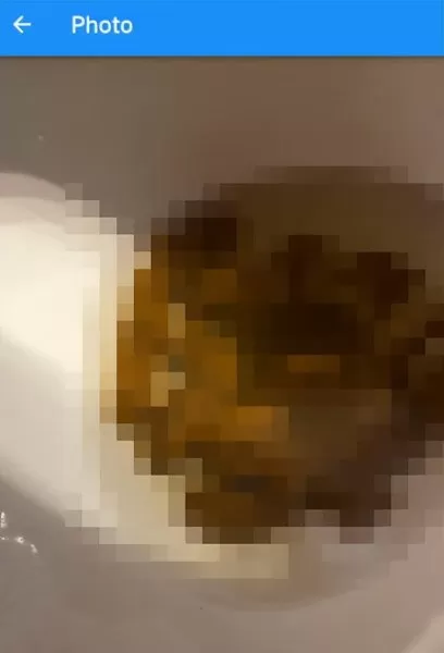 2021新版迷你世界猪怎么拉屎　猪拉屎-第14张
