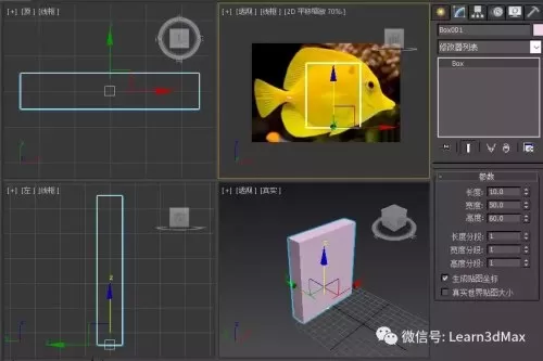 3ds动森怎么展示鱼　动森鱼全图鉴-第1张