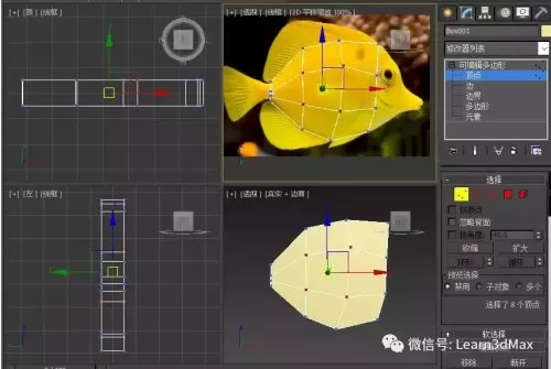 3ds动森怎么展示鱼　动森鱼全图鉴-第5张