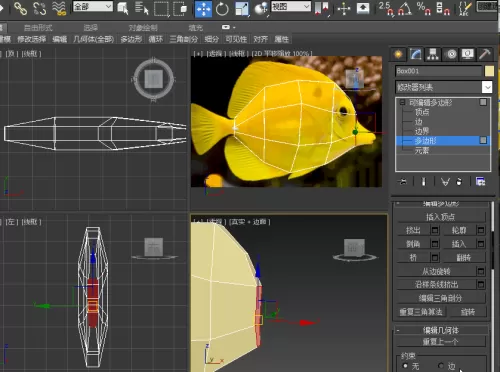 3ds动森怎么展示鱼　动森鱼全图鉴-第9张