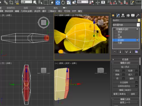 3ds动森怎么展示鱼　动森鱼全图鉴-第7张