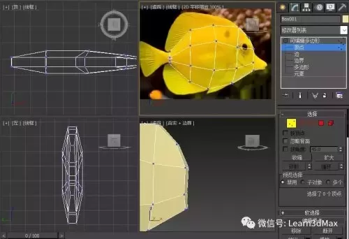 3ds动森怎么展示鱼　动森鱼全图鉴-第8张