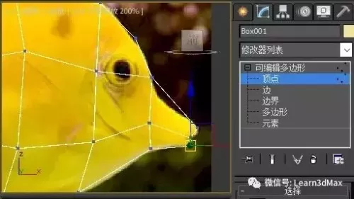 3ds动森怎么展示鱼　动森鱼全图鉴-第10张