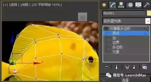 3ds动森怎么展示鱼　动森鱼全图鉴-第12张