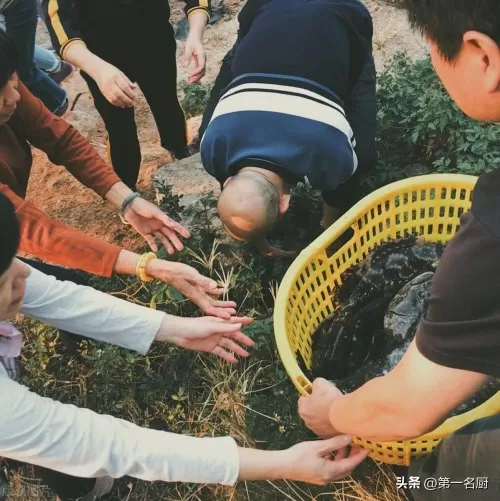 4月30是什么日子　四月三十日是什么日子-第11张