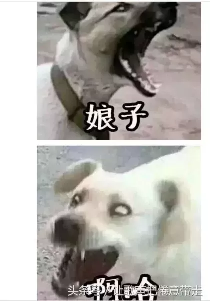 cf爱拍大p　爱拍cf-第10张