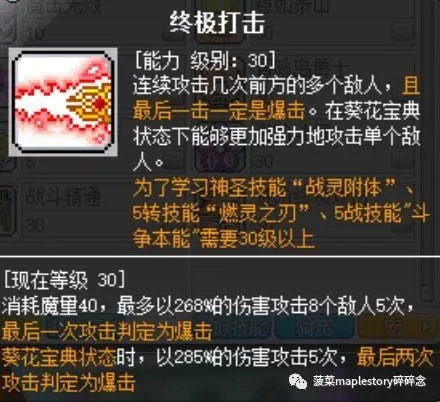 冒险岛技改之后圣骑士技能图　冒险岛黑骑士技能加点-第13张