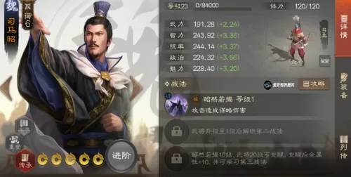 aoe流是什么意思　aoe阵容是什么意思-第7张