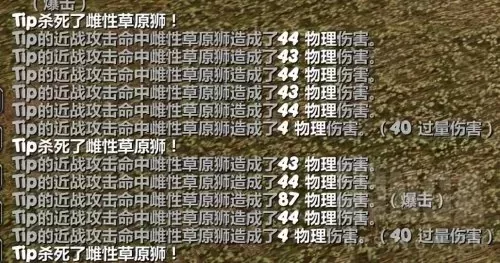 cf端游猎人标记怎么开　勇敢猎人的印记怎么用-第4张
