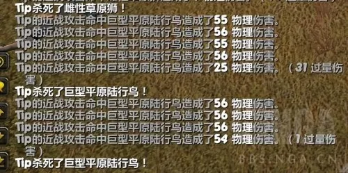 cf端游猎人标记怎么开　勇敢猎人的印记怎么用-第5张