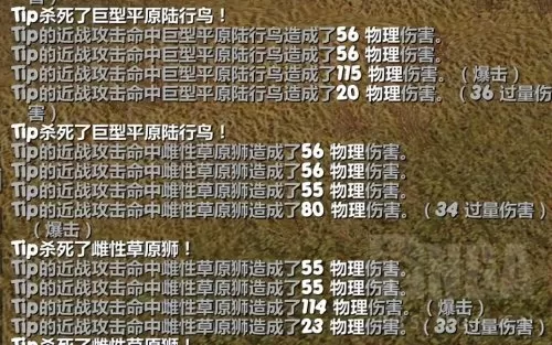 cf端游猎人标记怎么开　勇敢猎人的印记怎么用-第6张