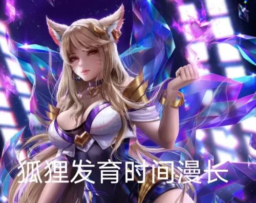 lol狐狸叫啥　LOL适合狐狸的ID-第22张