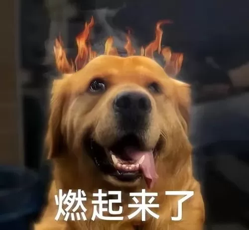 cf火麒麟怎么买便宜　穿越火线火麒麟怎么买-第13张