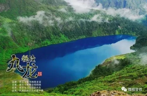 洛克王国清浅　洛克王国小芙蕖-第1张