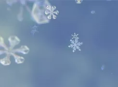 现在银蛇币回收多少钱一克呢　船长前期怎么刷银蛇币-第15张