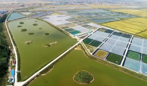 保卫萝卜1怎么把怪物圈养　保卫萝卜20个怪物不能解锁呢-第3张