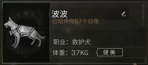 明日之后职业专属资源有哪些　明日之后职业专属副资源有哪些-第9张