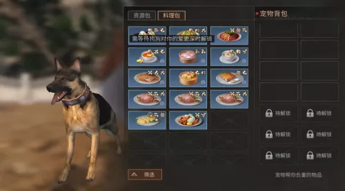 明日之后职业专属资源有哪些　明日之后职业专属副资源有哪些-第24张