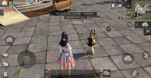 明日之后职业专属资源有哪些　明日之后职业专属副资源有哪些-第27张