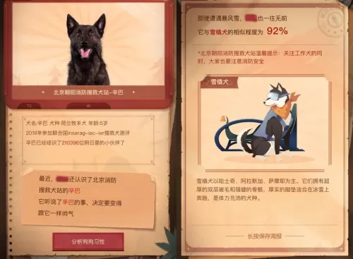 明日之后职业专属资源有哪些　明日之后职业专属副资源有哪些-第31张