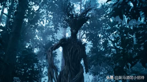 猎魔人的智力有什么用　猎魔人的能力-第13张
