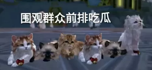 剑网3机关撬刀小猪在哪　剑网三野猪坐骑攻略-第9张