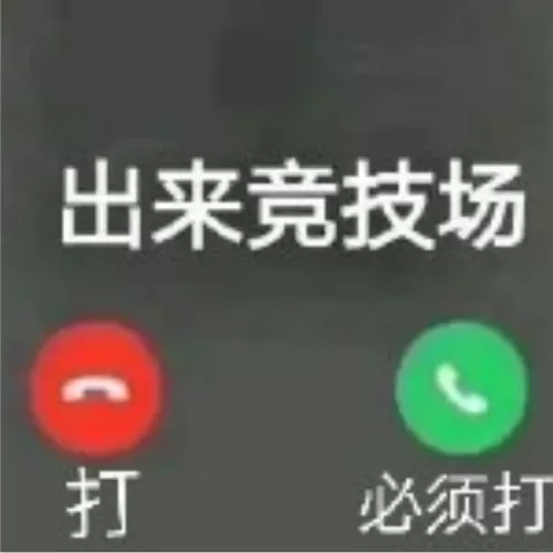 机关小猪只能做一个吗　剑网三机关小猪丢了-第4张