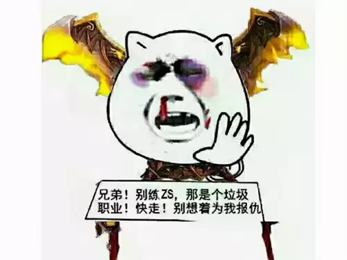 魔兽世界有什么职业介绍　魔兽术士是什么职业-第14张