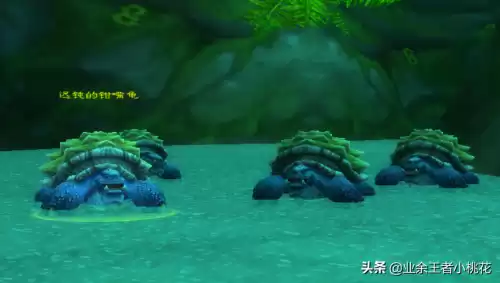 魔兽大地的污染在哪接　怀旧服玛拉顿任务-第10张