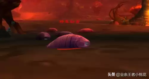 魔兽大地的污染在哪接　怀旧服玛拉顿任务-第9张