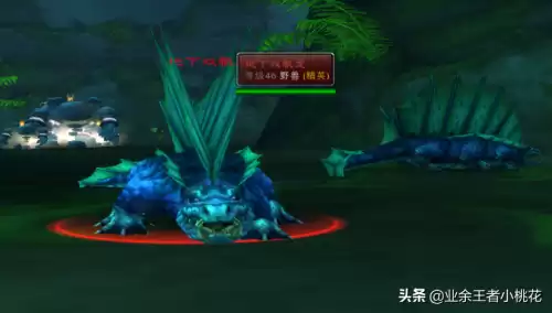 魔兽大地的污染在哪接　怀旧服玛拉顿任务-第13张