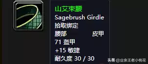 魔兽大地的污染在哪接　怀旧服玛拉顿任务-第32张