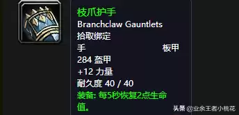 魔兽大地的污染在哪接　怀旧服玛拉顿任务-第33张