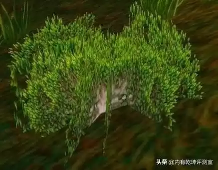 血色采药多少级去　怀旧服血色墓地采药-第6张