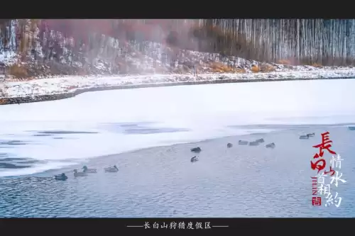 大千世界安图恩怎么打法　单人安图恩邪念体-第11张
