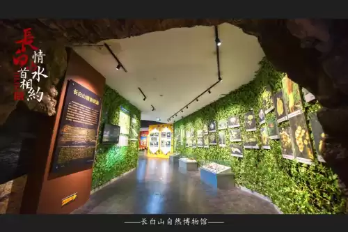 大千世界安图恩怎么打法　单人安图恩邪念体-第14张