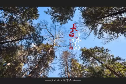 大千世界安图恩怎么打法　单人安图恩邪念体-第34张