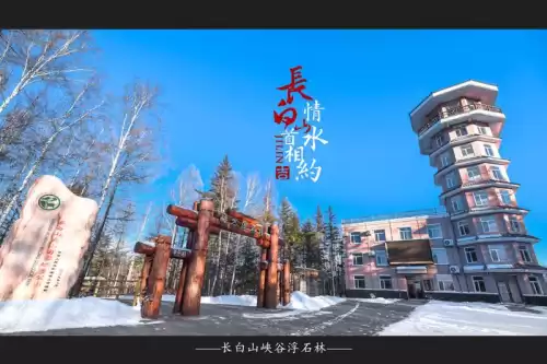 大千世界安图恩怎么打法　单人安图恩邪念体-第41张