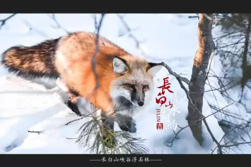 大千世界安图恩怎么打法　单人安图恩邪念体-第45张