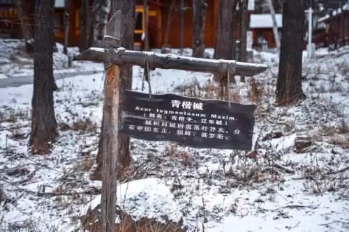 大千世界安图恩怎么打法　单人安图恩邪念体-第100张