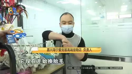 骨头镇手游怎么没法操作　骨头镇任务有多少-第3张