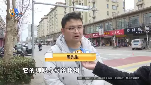 骨头镇手游怎么没法操作　骨头镇任务有多少-第2张