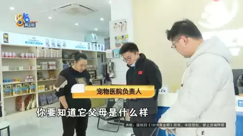 骨头镇手游怎么没法操作　骨头镇任务有多少-第5张