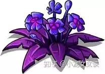 幻兽爱合成诅咒花怎么刷快　幻兽爱合成藤蔓怎么获得-第3张