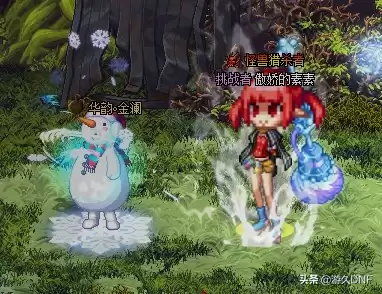 dnf克隆稀有和天空套的区别　dnf克隆的时装过期了还在吗-第7张