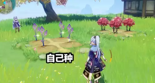 原神神居岛崩炮怎么启动不了　原神神居岛崩炮怎么用-第6张