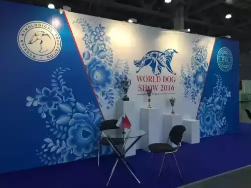 迷你世界怎么成为裁判　迷你世界如何免费获得迷你币-第4张