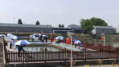 天涯明月刀河蟹在哪里钓　怎么钓螃蟹-第4张